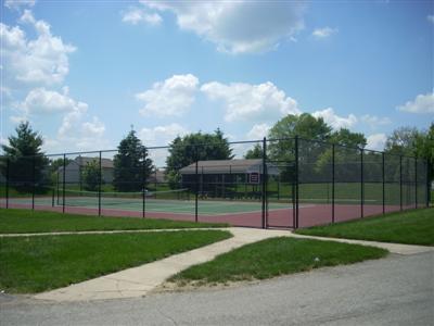 Tennis Court and Shelter